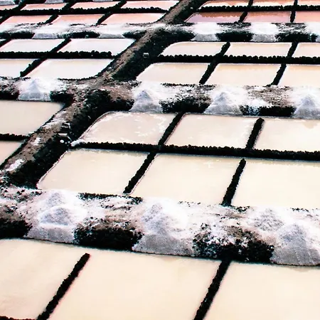 Blue Views Lejlighed Los Sauces